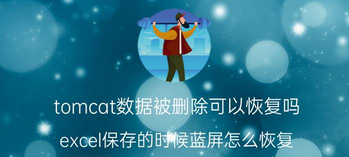 tomcat数据被删除可以恢复吗 excel保存的时候蓝屏怎么恢复？有哪些办法？